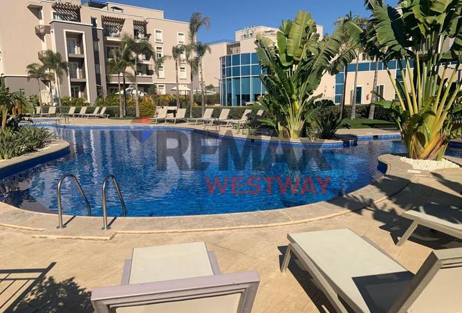 8393551 - Property Image 3