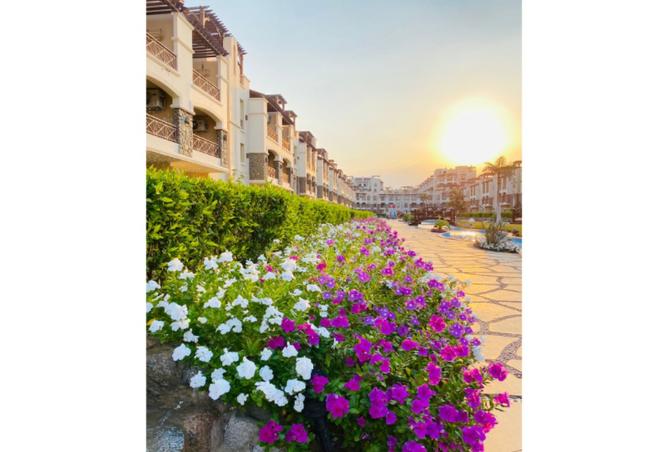 8015143 - صورة العقار 3