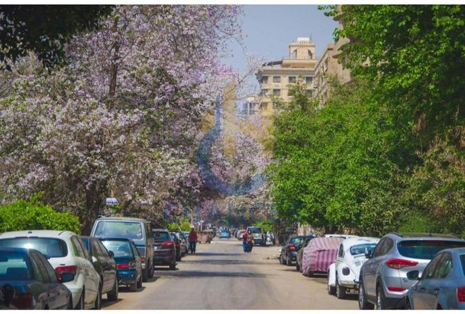 7999984 - Property Image 3