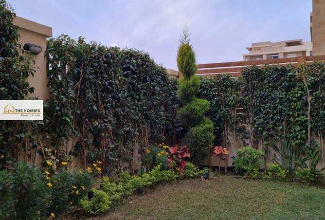 8463952 - صورة العقار 3