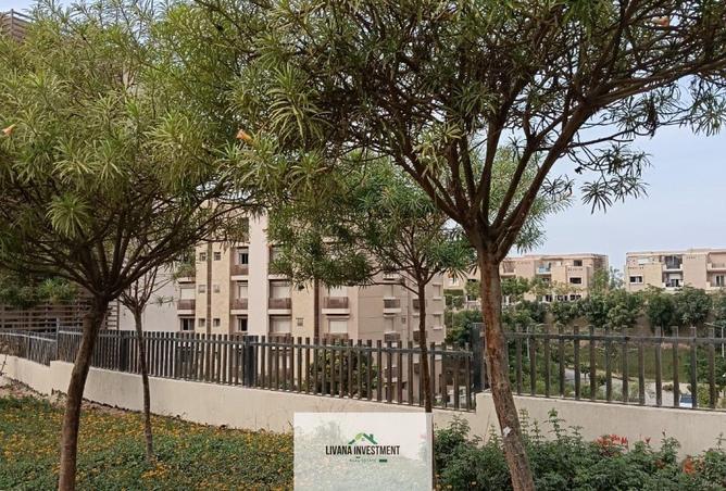 8390391 - Property Image 2