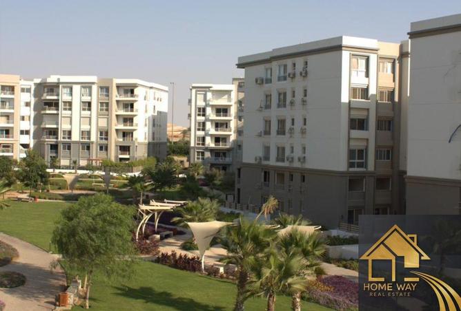 8295323 - Property Image 3