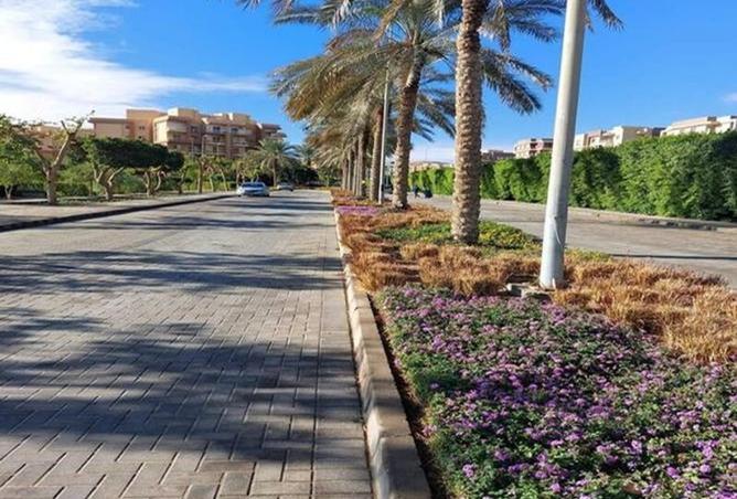 8427170 - صورة العقار 2