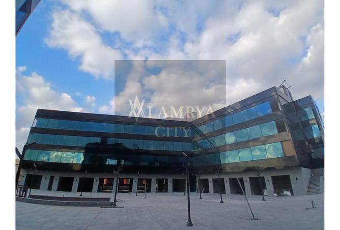 8447450 - صورة العقار 3