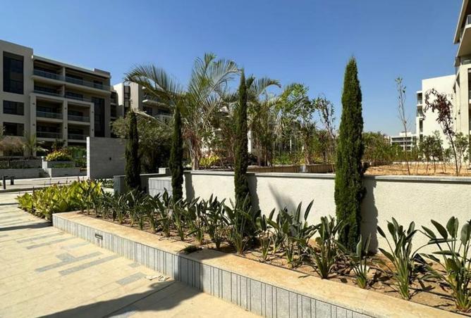 8035966 - صورة العقار 2