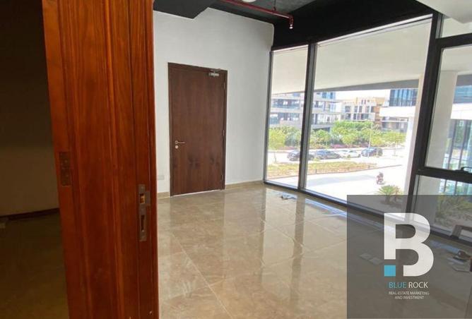7988385 - Property Image 3