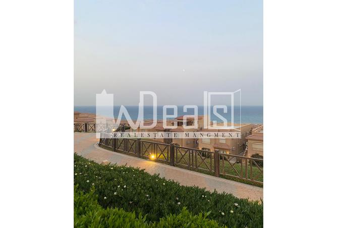 7980730 - Property Image 2