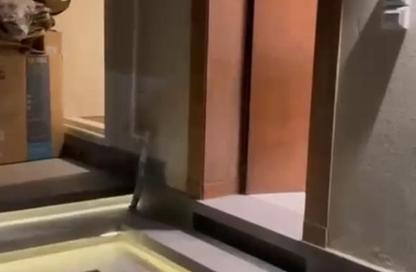 منزل مزدوج - 4 غرف نوم - 3 حمامات للبيع في بالم هيلز بالم فالي - محور 26 يوليو - مدينة 6 أكتوبر - الجيزة