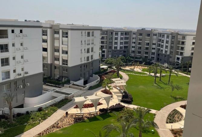 8195302 - صورة العقار 3