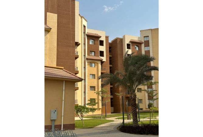 7922477 - Property Image 3