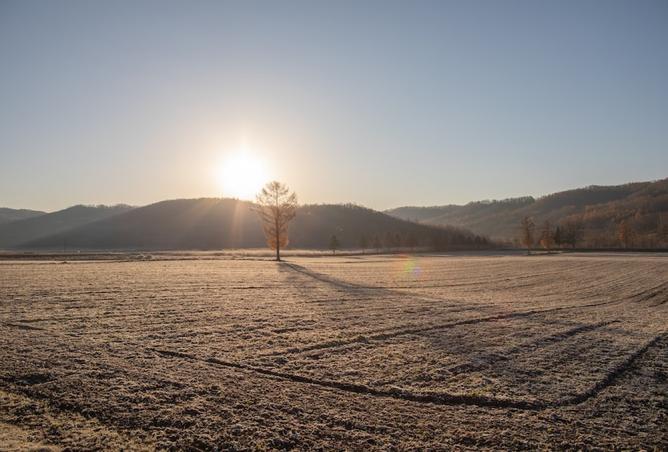 8465142 - صورة العقار 2