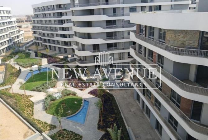 8372842 - Property Image 3