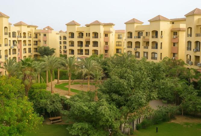 8034444 - Property Image 3