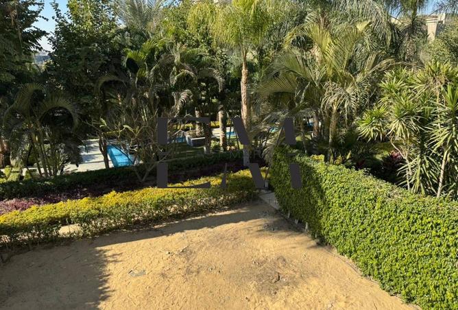 8095620 - Property Image 3