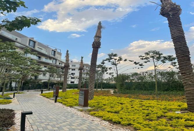 7976540 - Property Image 2