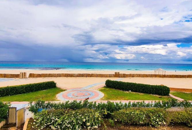 8248837 - صورة العقار 2