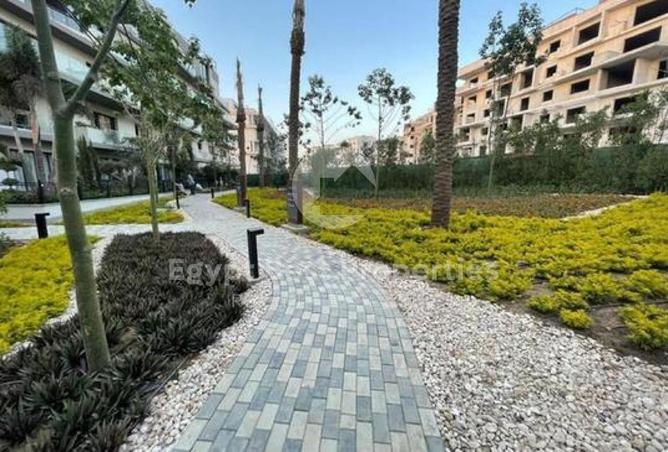 8153146 - Property Image 3
