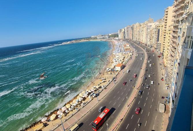 8037531 - صورة العقار 3