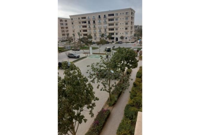 8323762 - Property Image 2