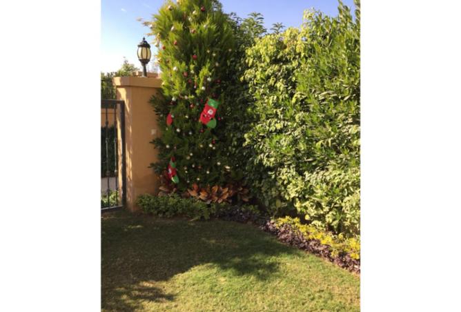 8446867 - صورة العقار 3