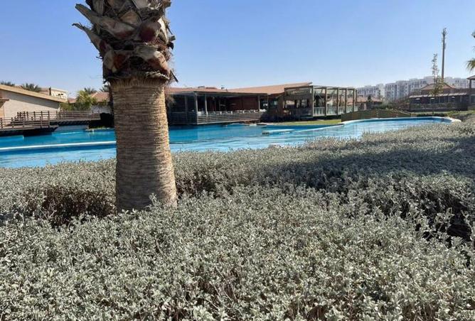 8208665 - صورة العقار 2