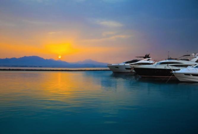 7969049 - صورة العقار 2
