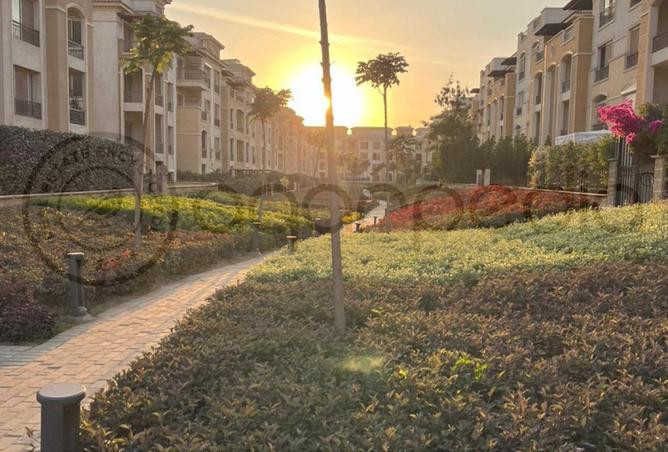 8368944 - صورة العقار 2