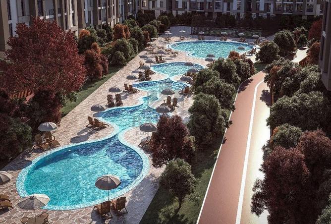 8205071 - Property Image 3