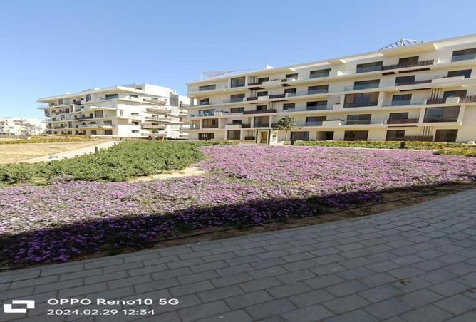 8004503 - صورة العقار 2