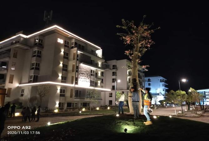 7989260 - Property Image 3