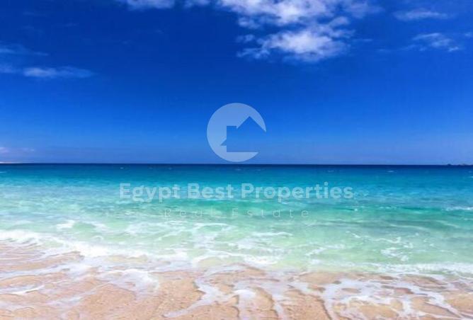 8044076 - Property Image 2