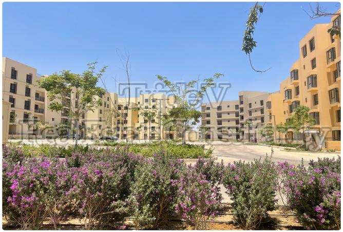 7987386 - Property Image 2