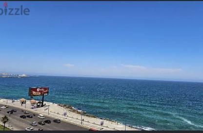 Apartment - 3 Bedrooms - 3 Bathrooms for sale in Camp Chezar - Hay Wasat - Alexandria
