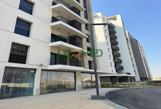 8127338 - Property Image 3