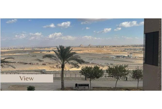 7935700 - صورة العقار 2