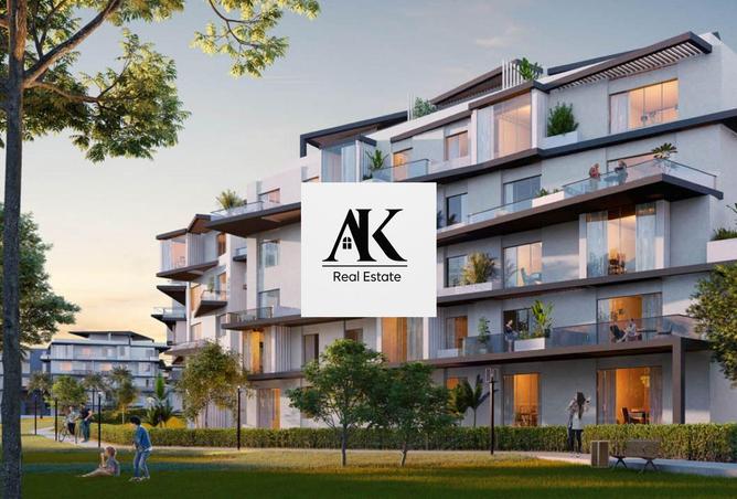 8066740 - Property Image 3