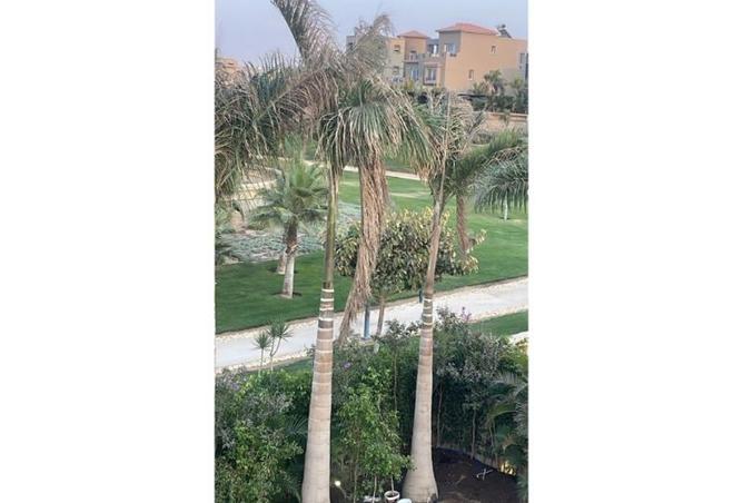 8403579 - صورة العقار 3