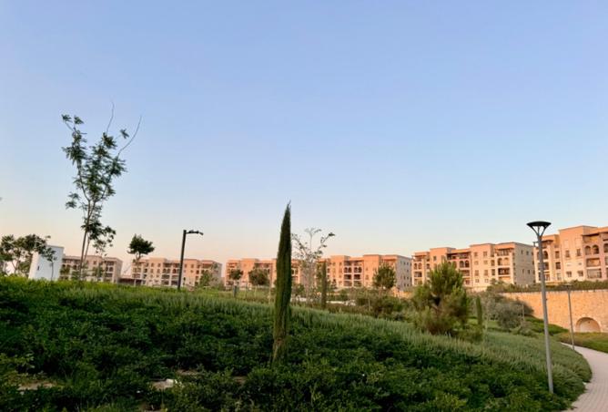 8260122 - Property Image 3