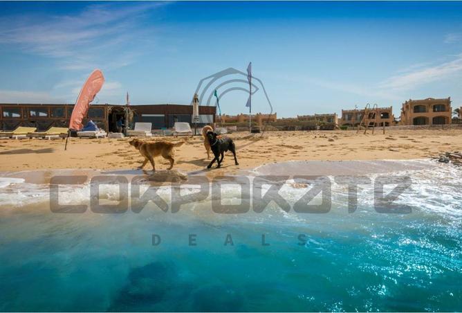 8117493 - Property Main Image
