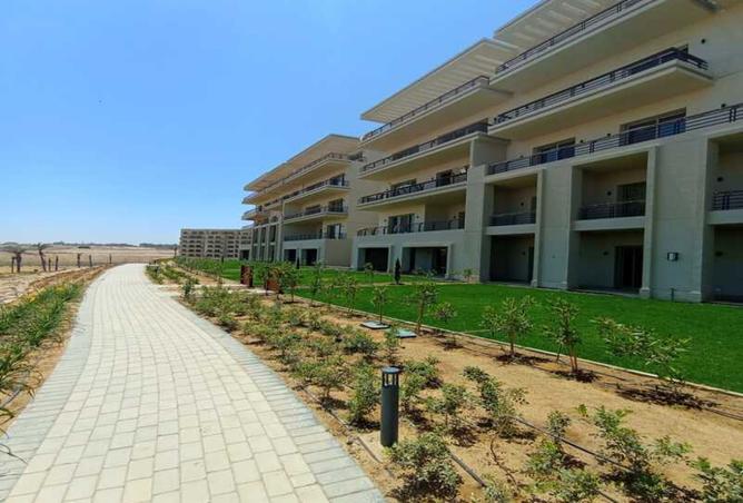 8377470 - Property Image 3