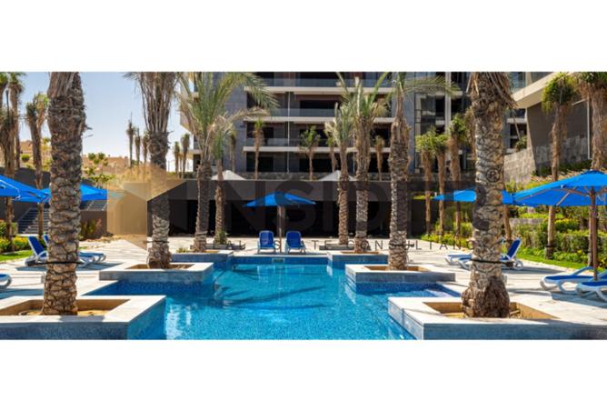 8194114 - صورة العقار 3