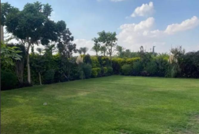 8068416 - صورة العقار 3