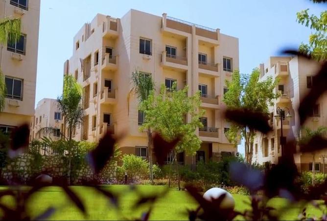 8039665 - صورة العقار 2