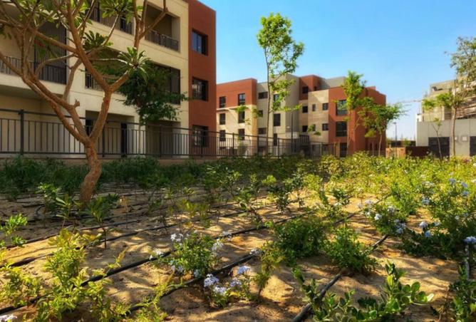 8282678 - Property Image 2