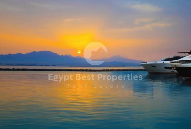 7905740 - صورة العقار 3
