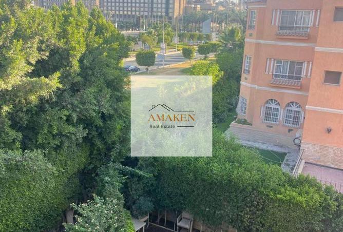 7950777 - صورة العقار 2