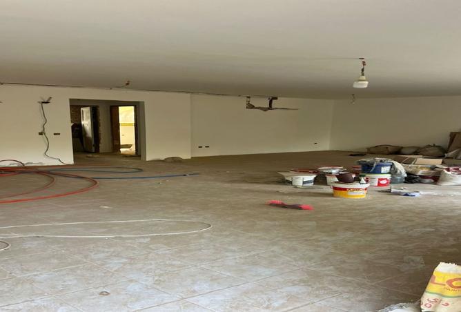 8096578 - Property Image 3