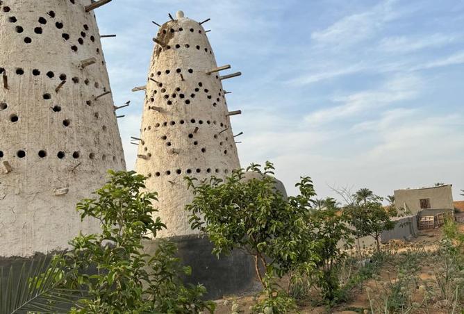 8486679 - الصورة الرئيسية للعقار