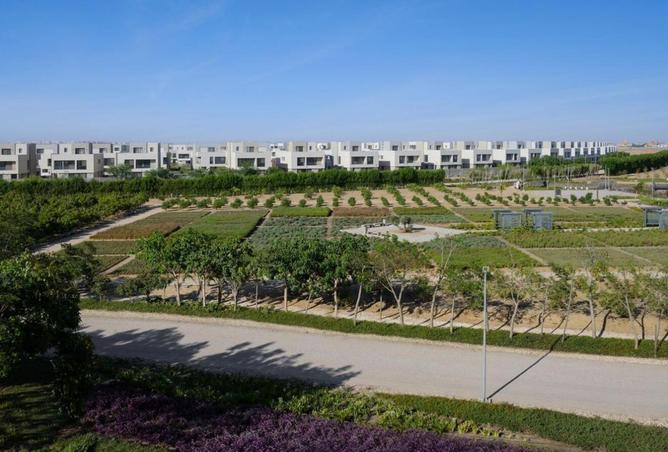 8029429 - الصورة الرئيسية للعقار