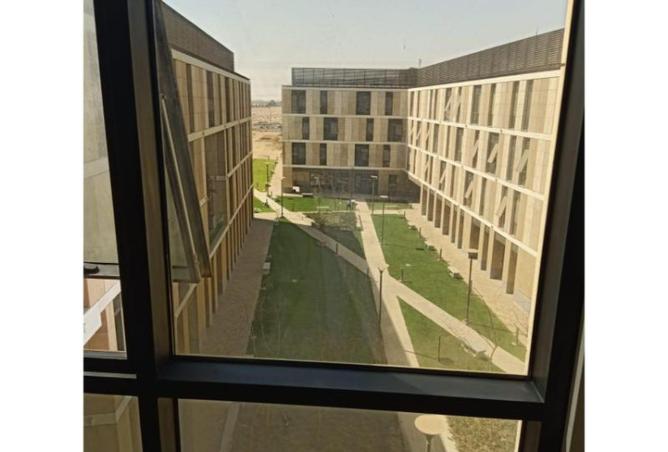 8387874 - Property Image 2